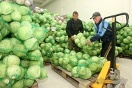 Свердловская область: учёные выступают за кооперацию аграриев